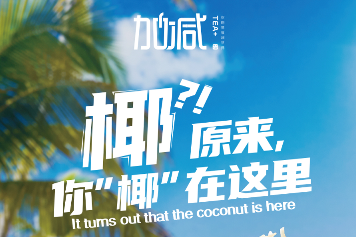 凯发K8椰子系列新品火爆上市